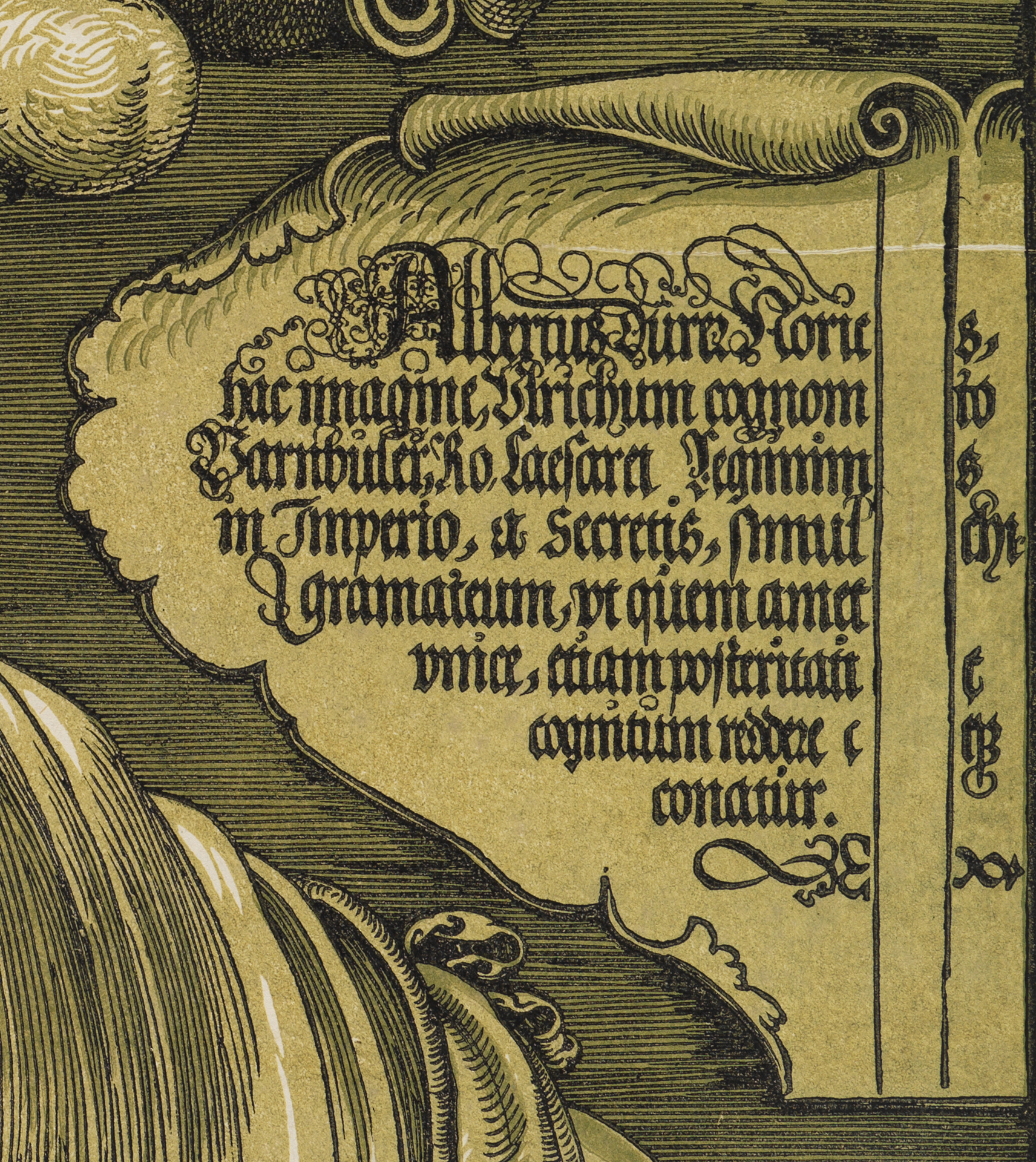 Ausschnitt aus dem mehrfarbigen Holzschnitt: Ein wellig ausgeschnittenes und sich seitlich aufrollendes Inschriftenfeld. Die Inschrift auf Latein in altdeutscher Schrift.