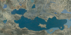 Ausschnitt Max Ernst Europa nach dem Regen. Reliefstruktur in grau-und Erdtönen mit blauen Flächen.