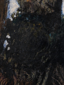 Ausschnitt aus Max Ernsts Gemälde der Wald. Dunkle, flauschig wirkende Form.