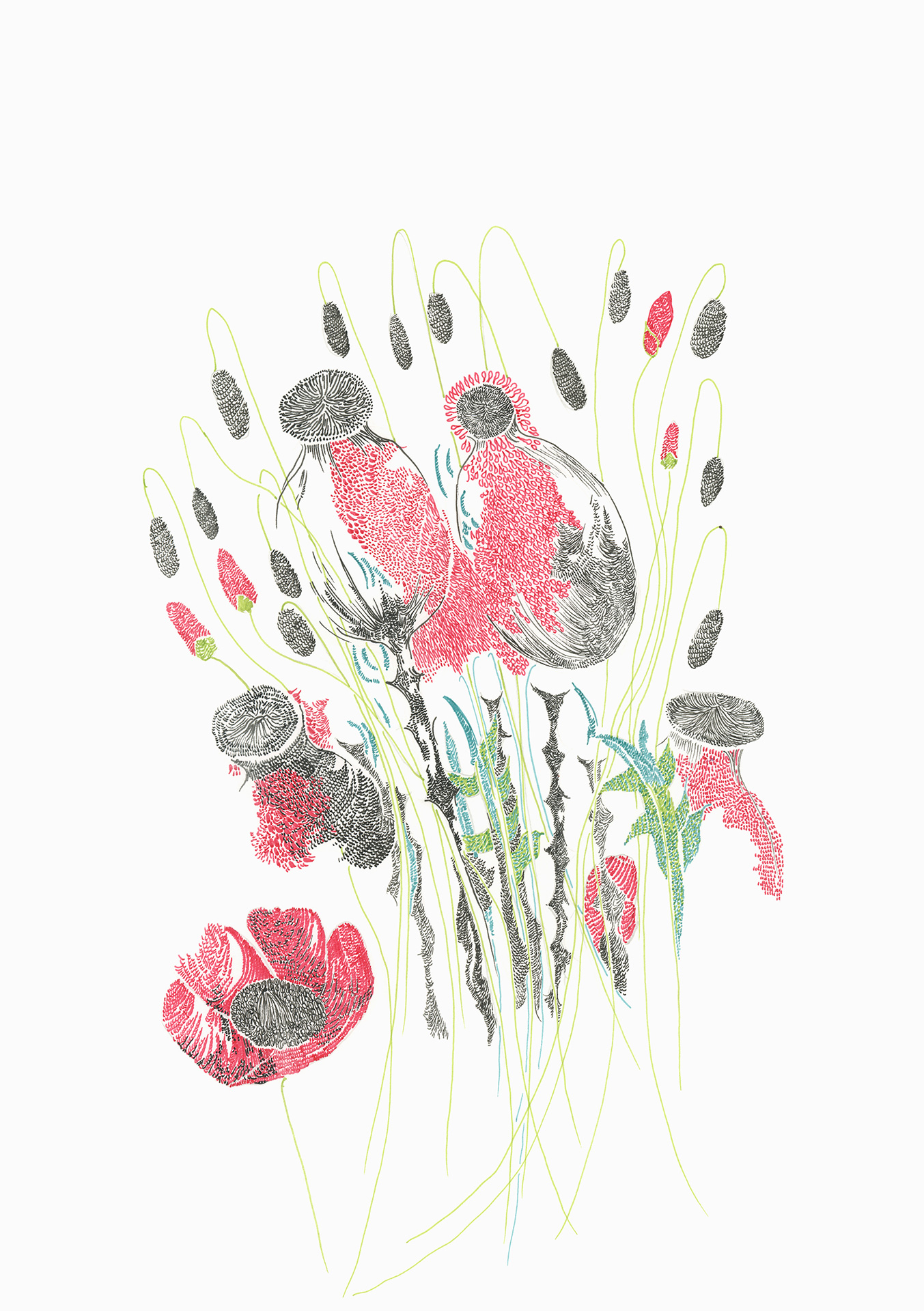 Abbildung einer Zeichnung, auf der Mohnblüten abgebildet sind.