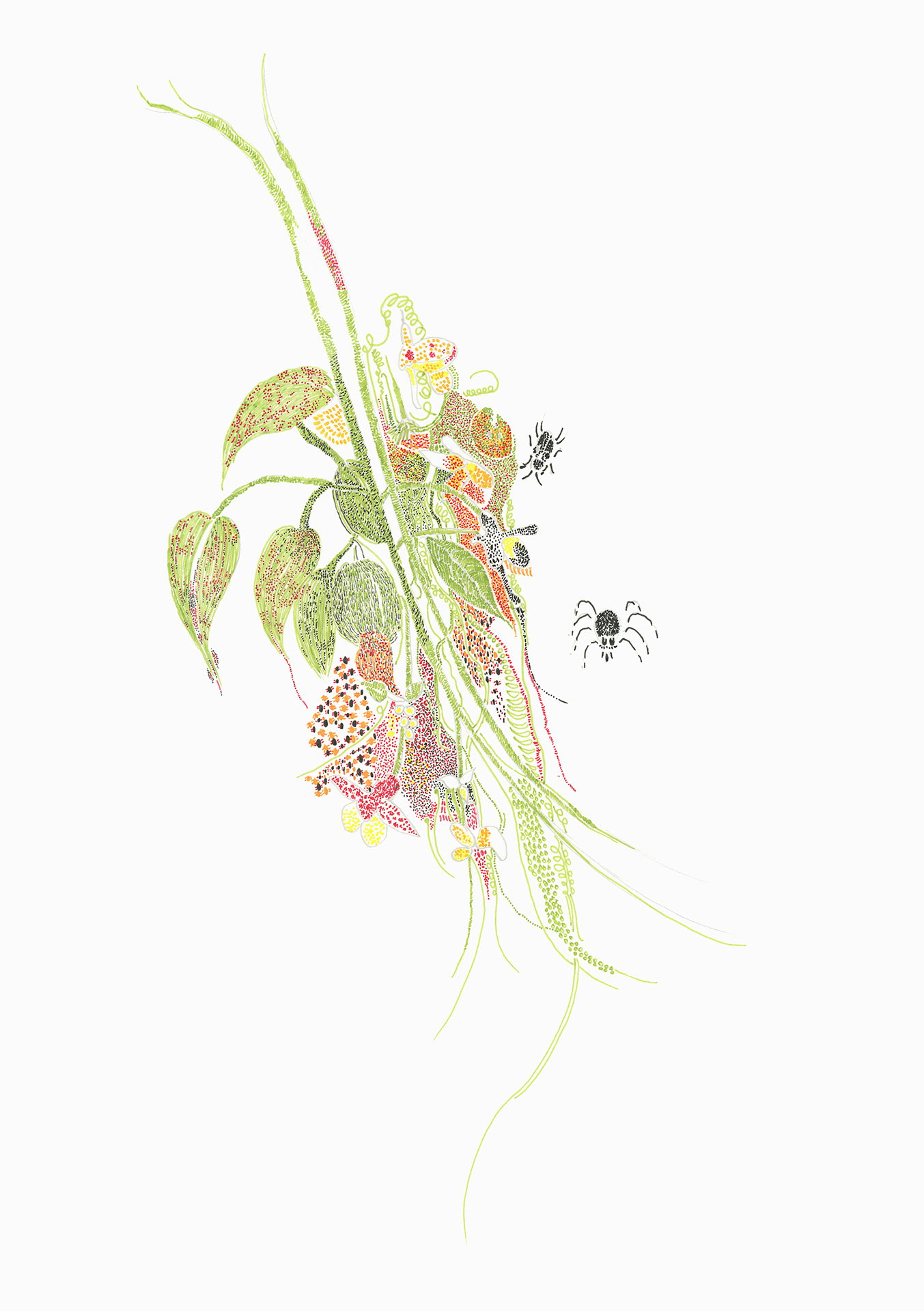 Abbildung einer Zeichnung, auf der eine Pflanze und Spinnen abgebildet sind.