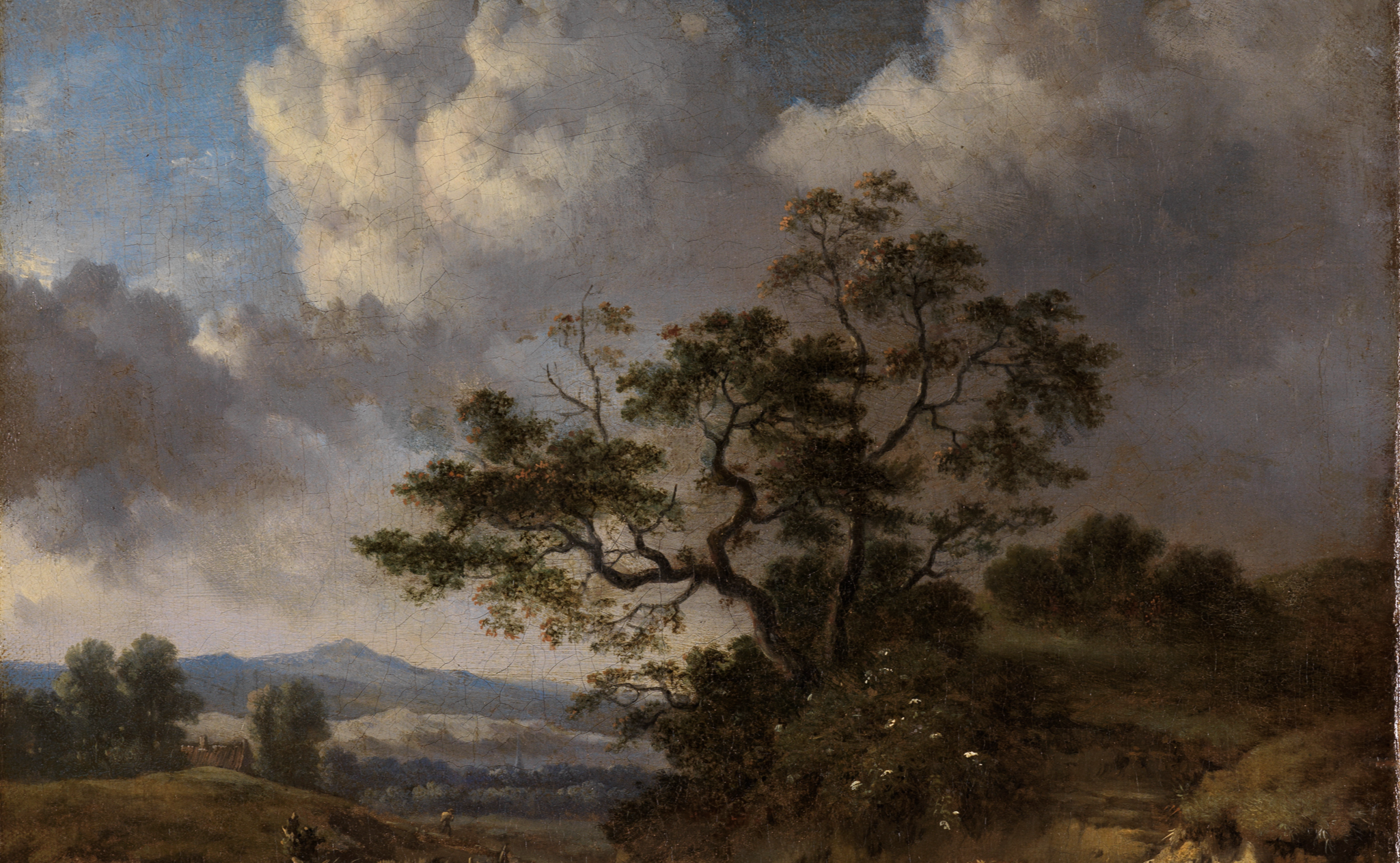 Detailausschnitt aus Wijnants Gemälde: Ein ausladender alter Baum steht vor einer Hügellandschaft mit bewölktem Horizont.