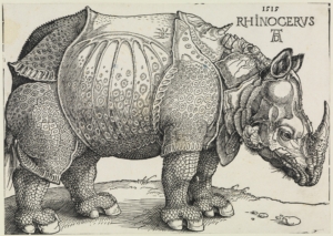 Detailausschnitt aus Dürers Werk Rhinocerus: Der Holzschnitt zeigt ein massiges Nashorn mit gepanzerten Platten und Schuppengeflecht an den Beinen. Auf seiner Nase und auf seinem Rücken trägt es ein Horn.