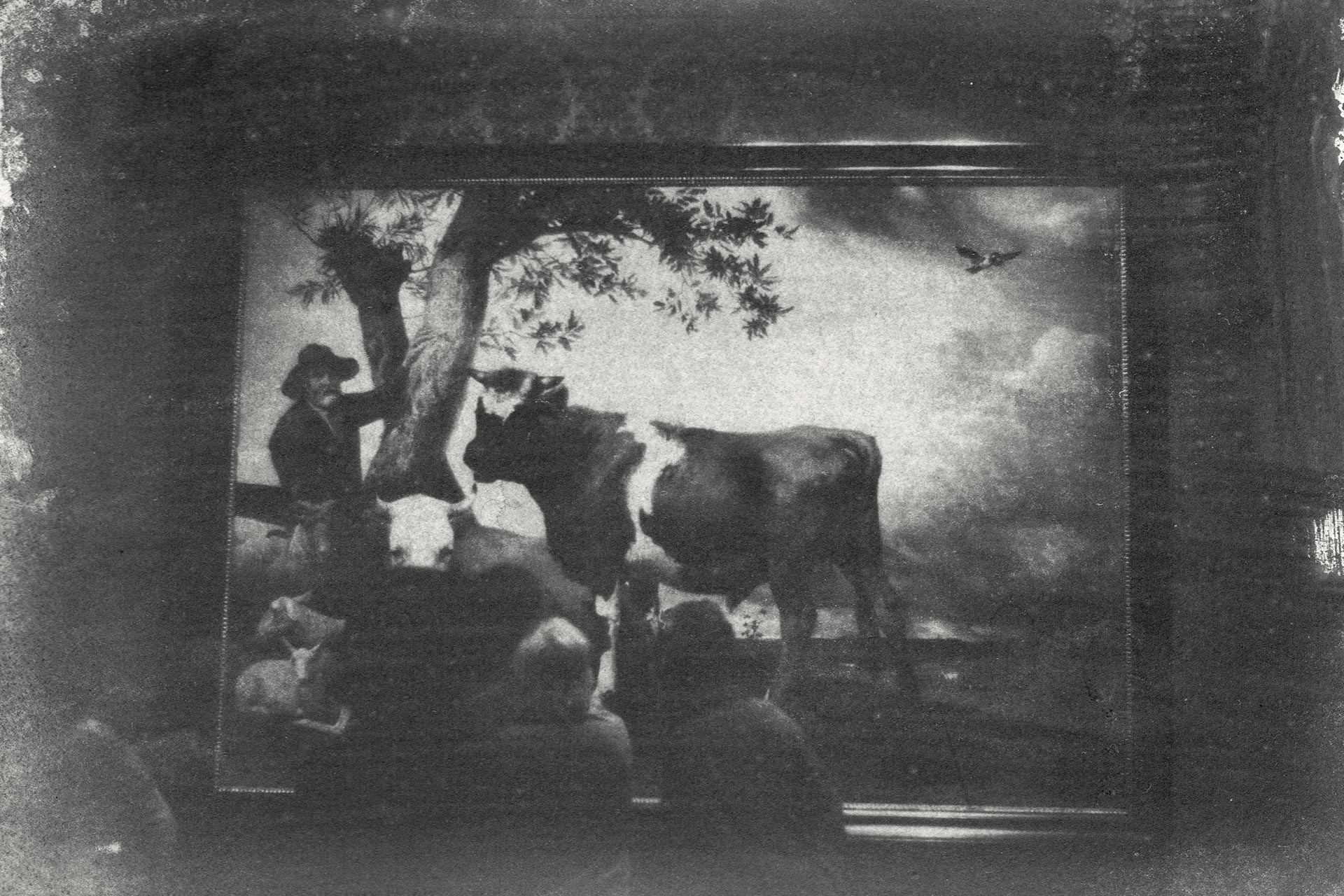 Abbildung eines Gummidruckes von Marcel van Eeden, das einen Ausstellungsraum im Mauritshuis in Den Haag zeigt, in dem zwei Menschen vor einem großen Gemälde stehen und es betrachten. Auf dem Gemälde sind mehrere Kühe, Schafe und ein Mann zu erkennen.