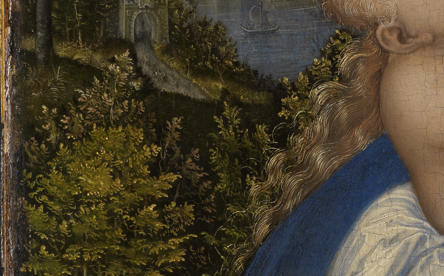 Detail von Sträuchern.