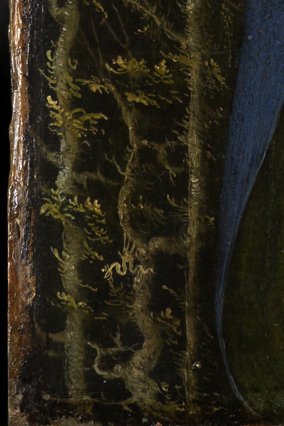 Detail von Ästen