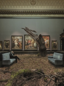 Großer, abgestorbener Baumstamm mit Ästen in einem Museumssaal, umgeben von Gemälden und zwei Sofas, auf denen eine Person sitzt.